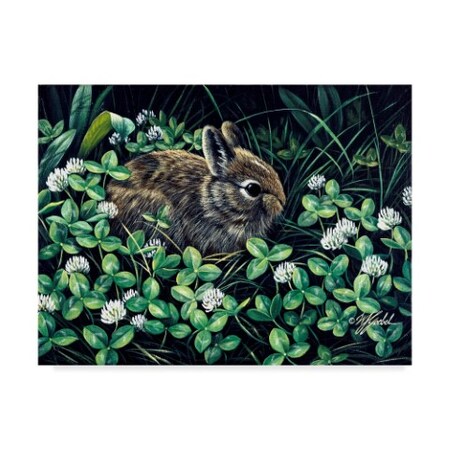 Trademark Fine Art Wilhelm Goebel 'In Clover' Canvas Art, 35x47 ALI33726-C3547GG
